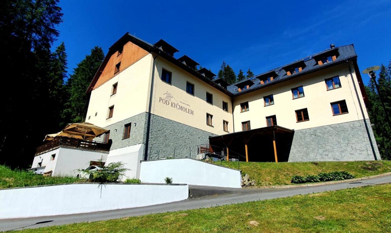 Wellness Hotel Pod Kycmolem Horni Lomna Exterior photo